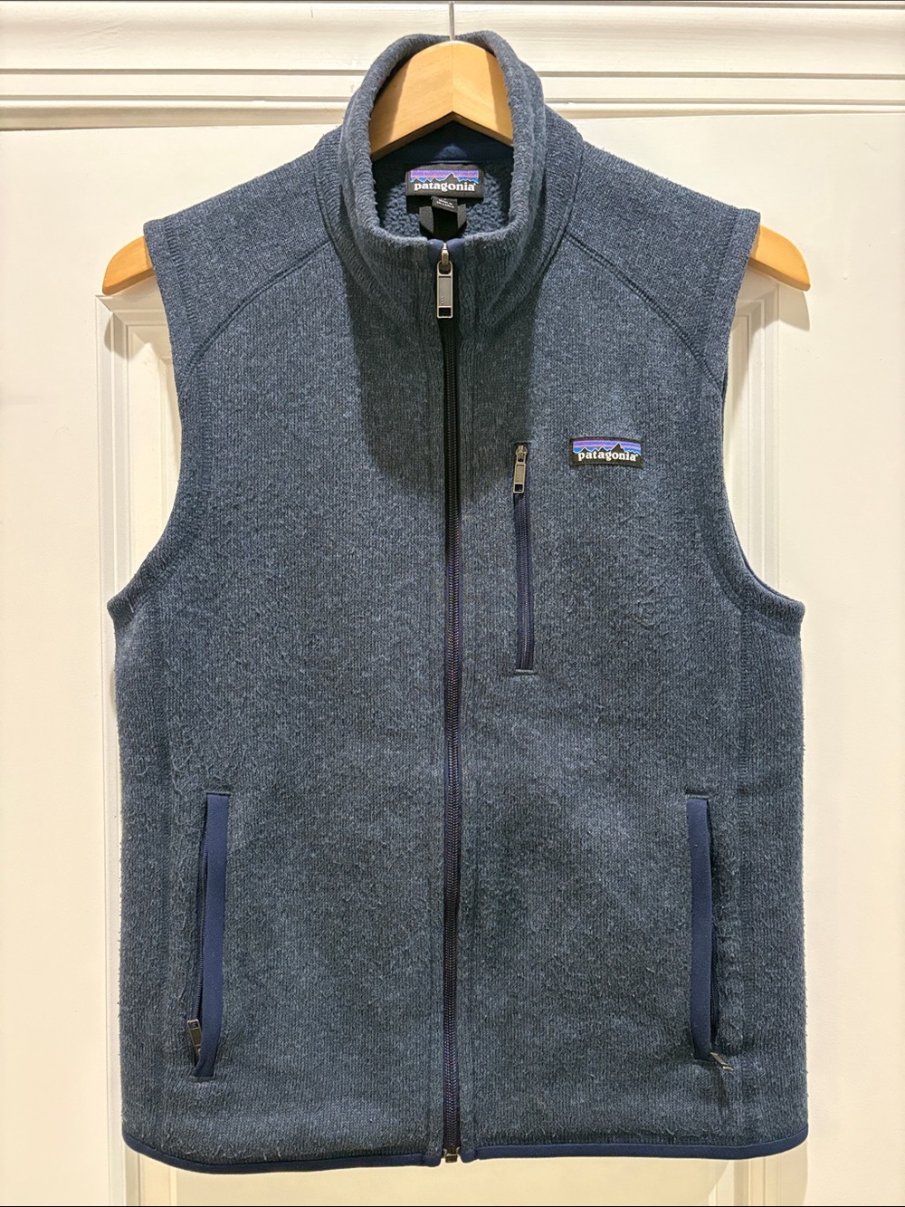 Patagonia Men's Navy Blue Full-Zip Fleece Vest